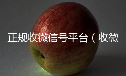 正规收微信号平台回收vx秒结白号（收微信号平台 用什么平台）