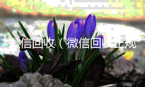 微信回收（回收vx平台微信回收正规官网）