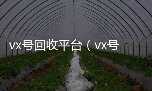 vx号回收平微信24小时在线回收台（vx号回收平台网）
