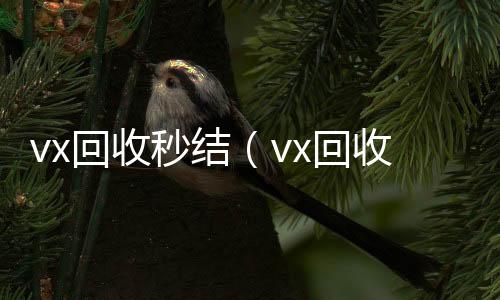 vx回收秒结正规收微信号平台（vx回收秒结500）